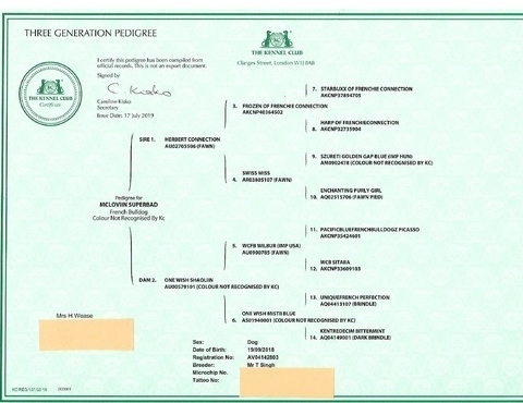 Three Generation Pedigree