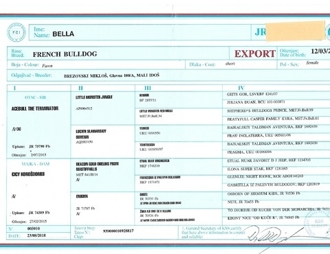 Export Pedigree